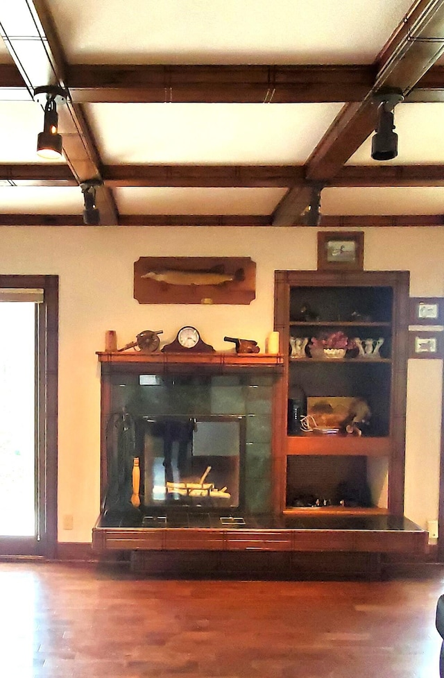 details featuring a glass covered fireplace, beamed ceiling, and wood finished floors
