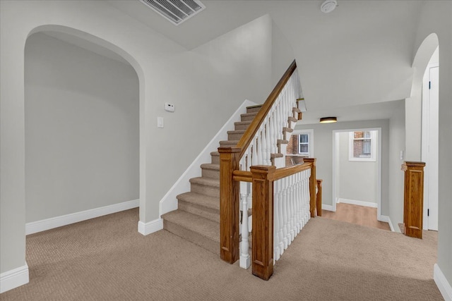 stairway featuring carpet floors