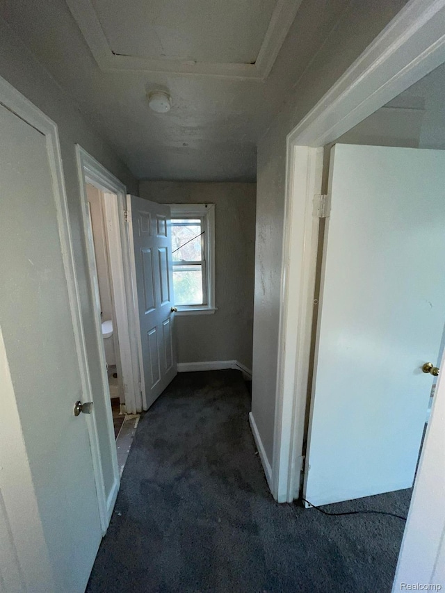 19254 Keystone St, Detroit, MI 48234 - hall featuring carpet floors and baseboards