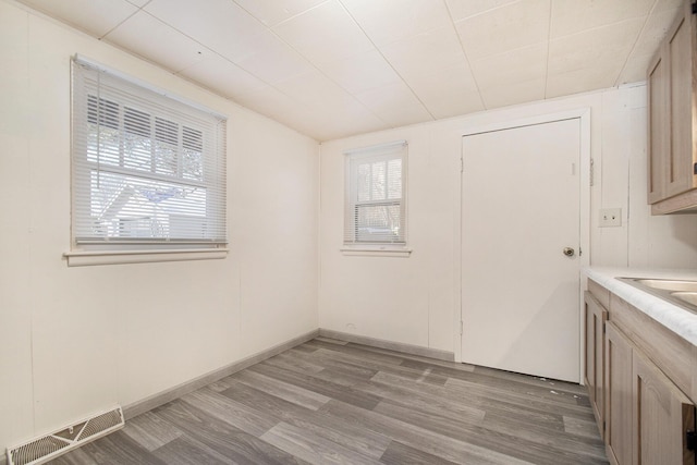 interior space featuring light hardwood / wood-style floors