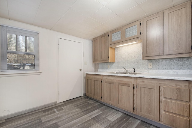 kitchen with dark wood-type flooring, light brown cabinetry, sink, and backsplash