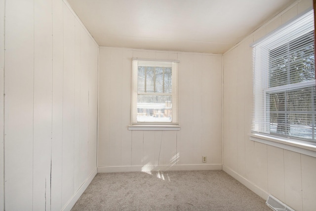 empty room featuring wooden walls and light carpet