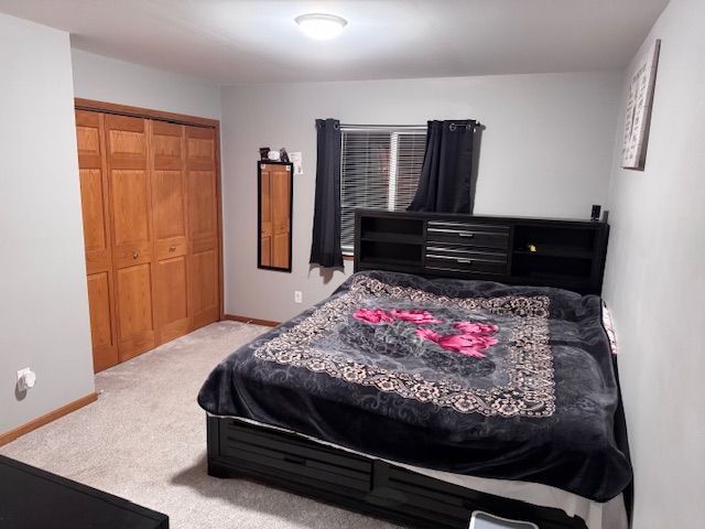 carpeted bedroom featuring a closet