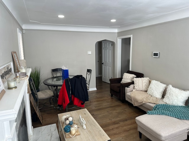 living room featuring wood-type flooring