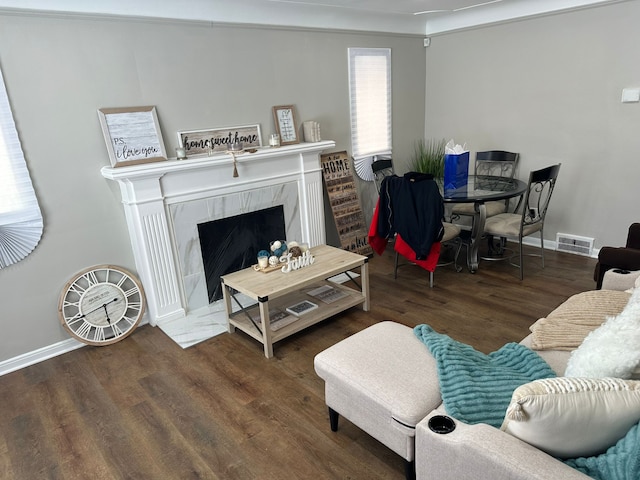 living room with wood-type flooring and a fireplace