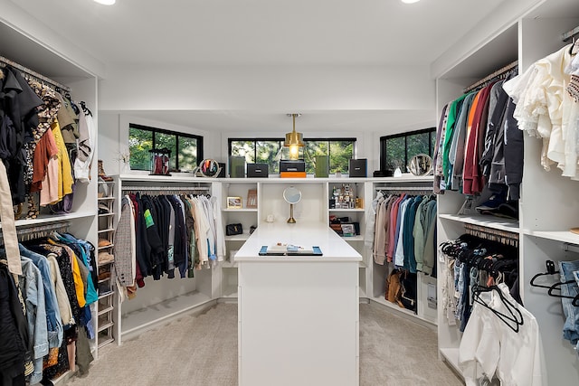 walk in closet with light carpet