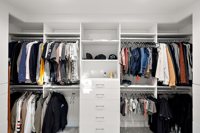 view of walk in closet