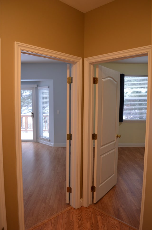 corridor with a wealth of natural light and wood-type flooring