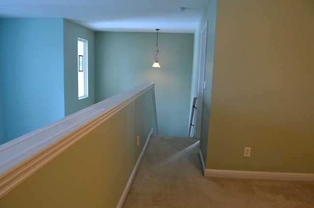 staircase featuring carpet