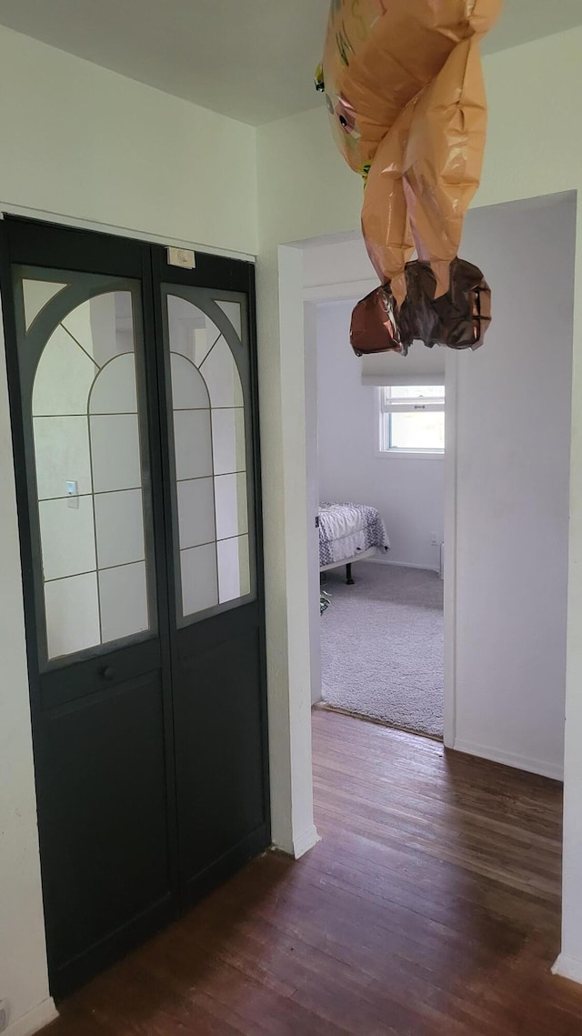 entrance foyer featuring dark wood-type flooring