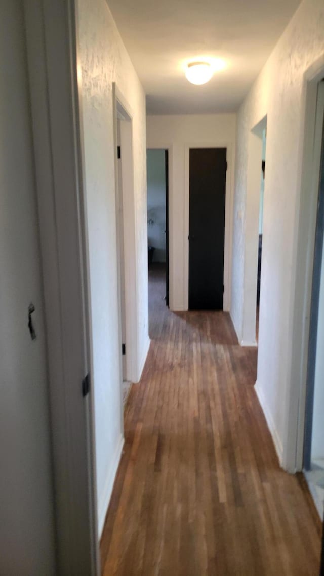 corridor featuring dark hardwood / wood-style flooring