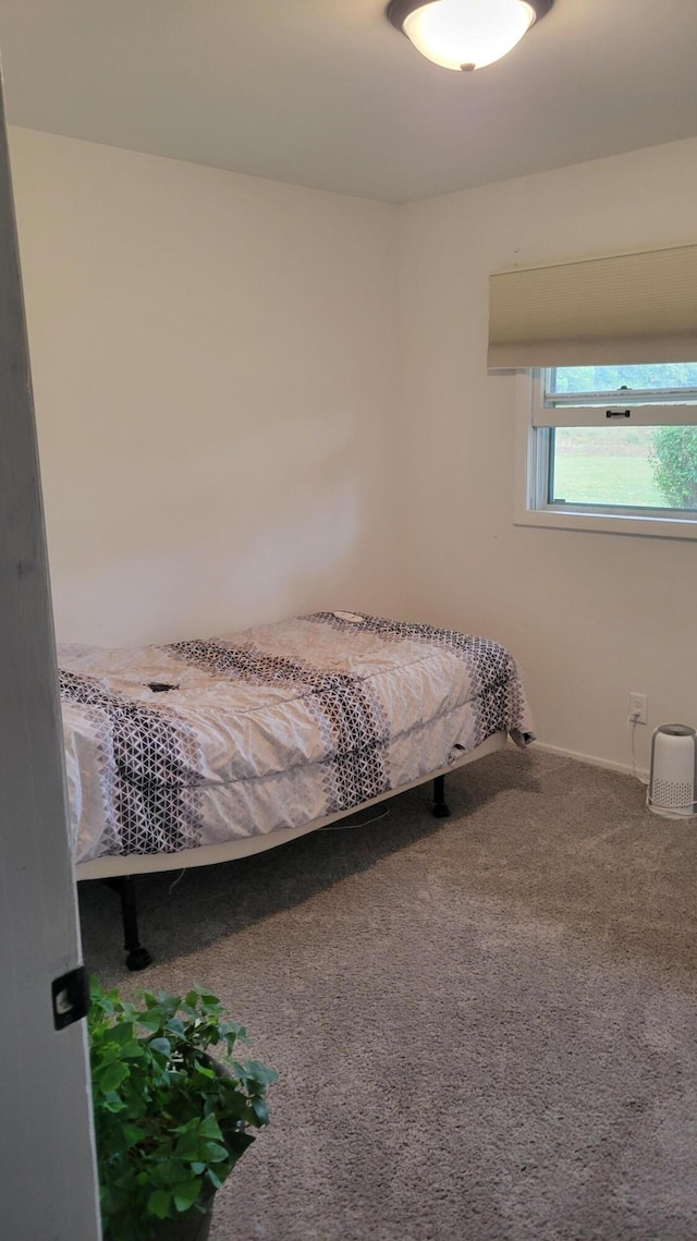 bedroom featuring carpet flooring