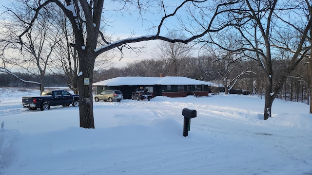 view of yard covered in snow