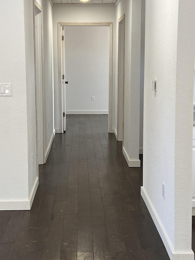 hallway featuring dark wood-type flooring and a paneled ceiling