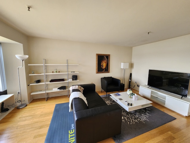 living room with light wood-type flooring