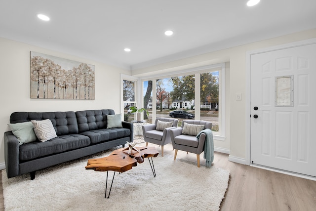 living room featuring light hardwood / wood-style floors