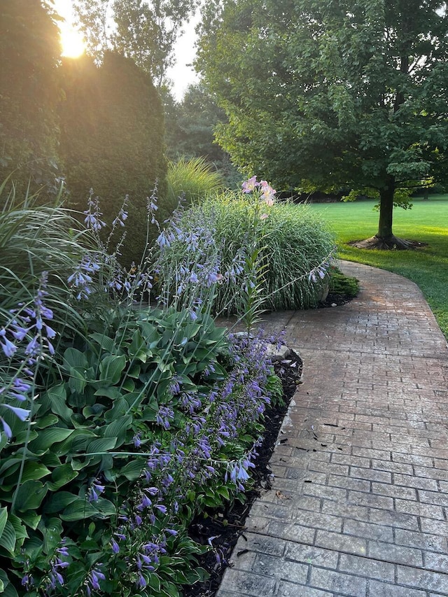 view of property's community featuring a yard