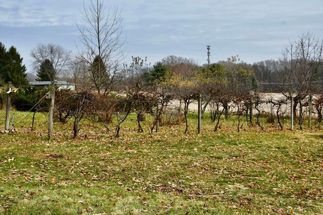 view of nature with a rural view