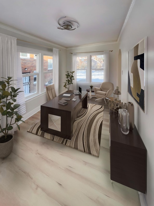 living room featuring crown molding and light hardwood / wood-style flooring