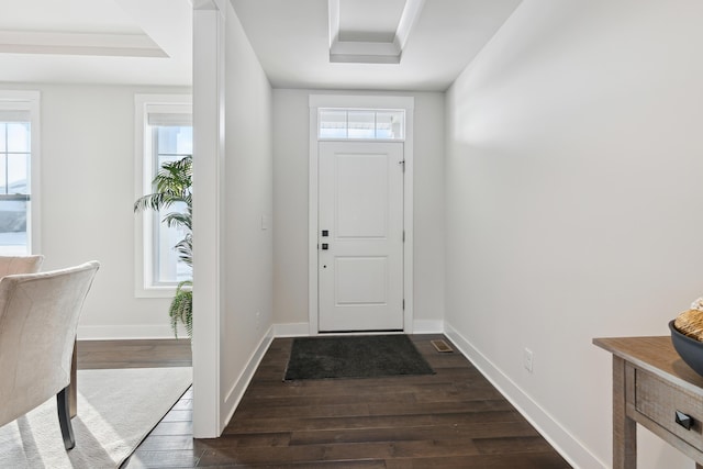 foyer entrance with a tray ceiling and dark hardwood / wood-style floors