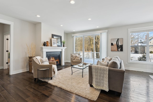 living room with dark hardwood / wood-style floors