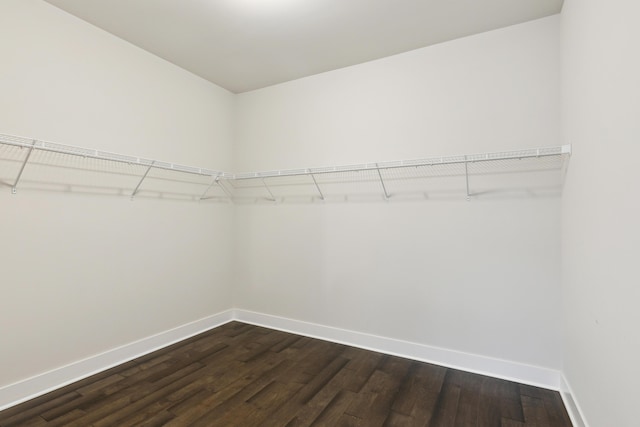 walk in closet with dark hardwood / wood-style floors