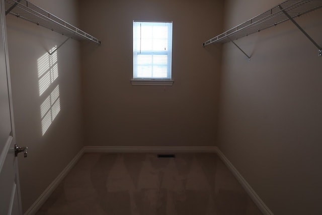 spacious closet featuring carpet