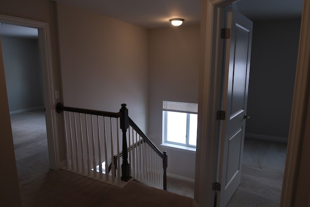 stairway featuring carpet