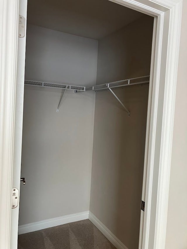 walk in closet with carpet floors