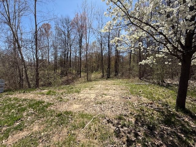 11999 Scenic Vly, Davisburg, MI 48350