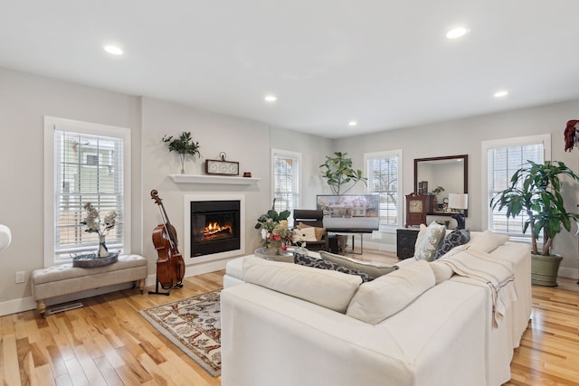 living room featuring light hardwood / wood-style floors and a healthy amount of sunlight