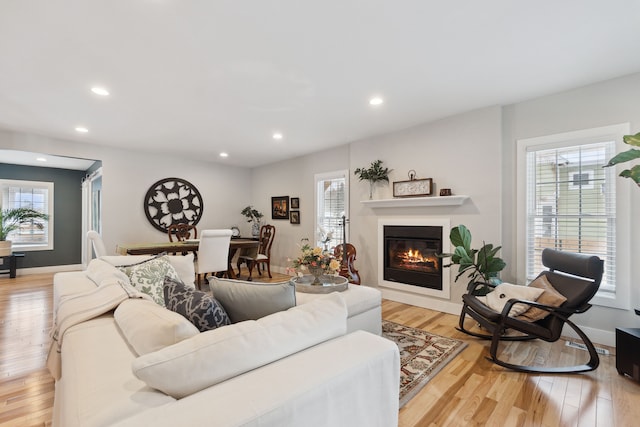 living room featuring a healthy amount of sunlight and light hardwood / wood-style floors