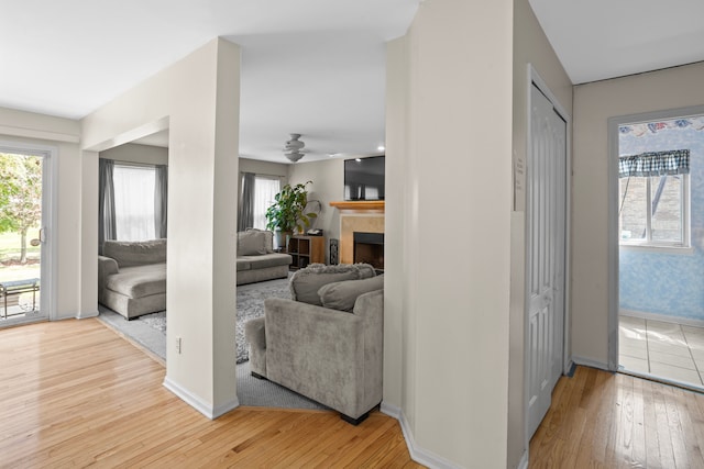 living room featuring light hardwood / wood-style floors