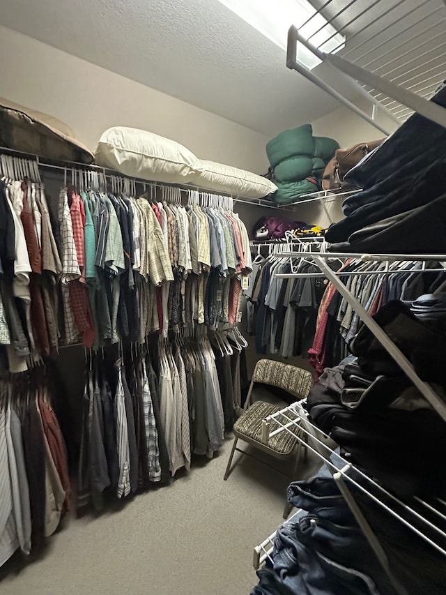 walk in closet with carpet