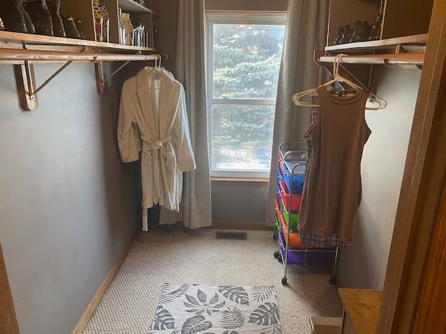 spacious closet with light carpet