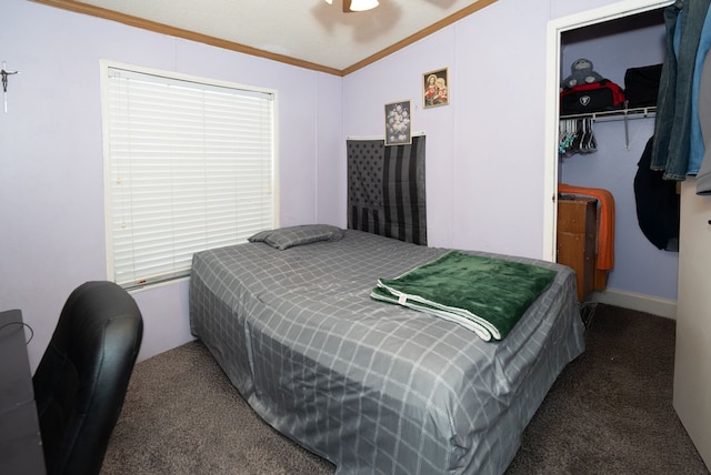 bedroom featuring dark carpet, a walk in closet, ornamental molding, and a closet