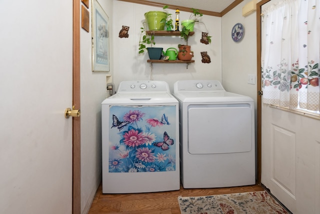 laundry area featuring crown molding, washing machine and clothes dryer, and light hardwood / wood-style floors