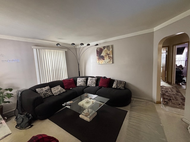 living room with ornamental molding and carpet flooring