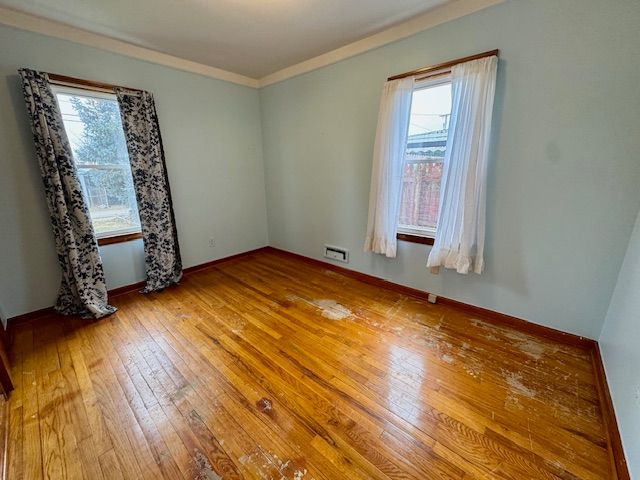 spare room with crown molding, a healthy amount of sunlight, and light hardwood / wood-style floors