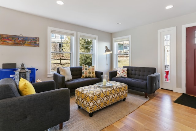 living room with hardwood / wood-style floors