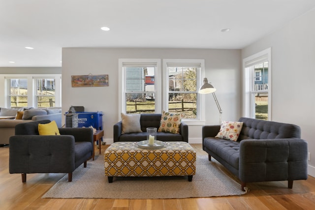 living room featuring hardwood / wood-style floors