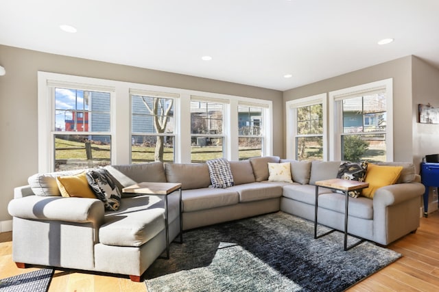 living room featuring hardwood / wood-style floors