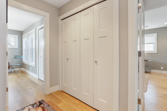 corridor featuring light hardwood / wood-style flooring