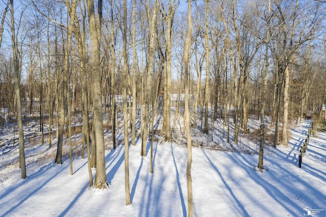 view of yard covered in snow