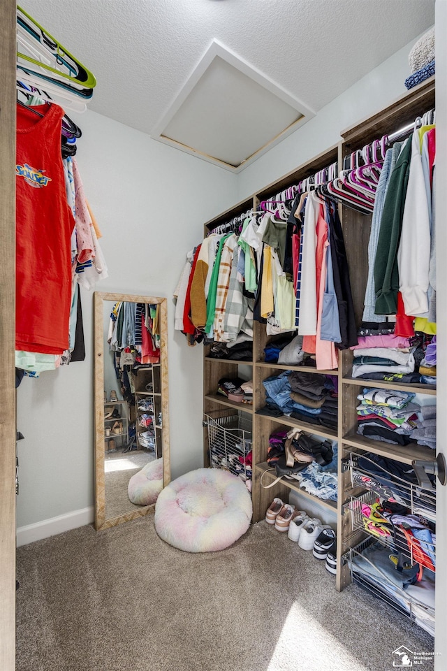 spacious closet with carpet