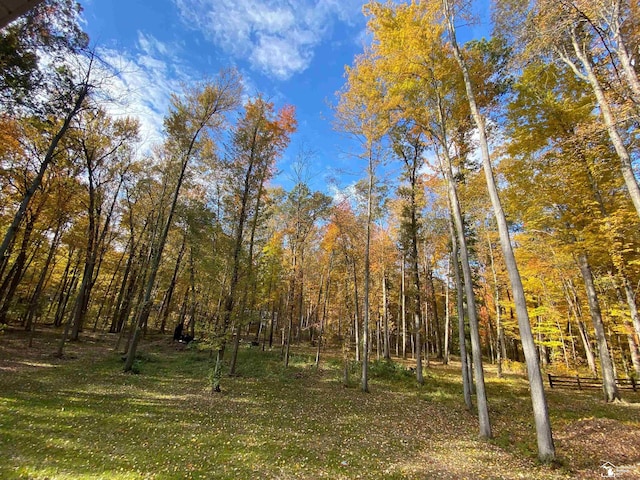 view of nature