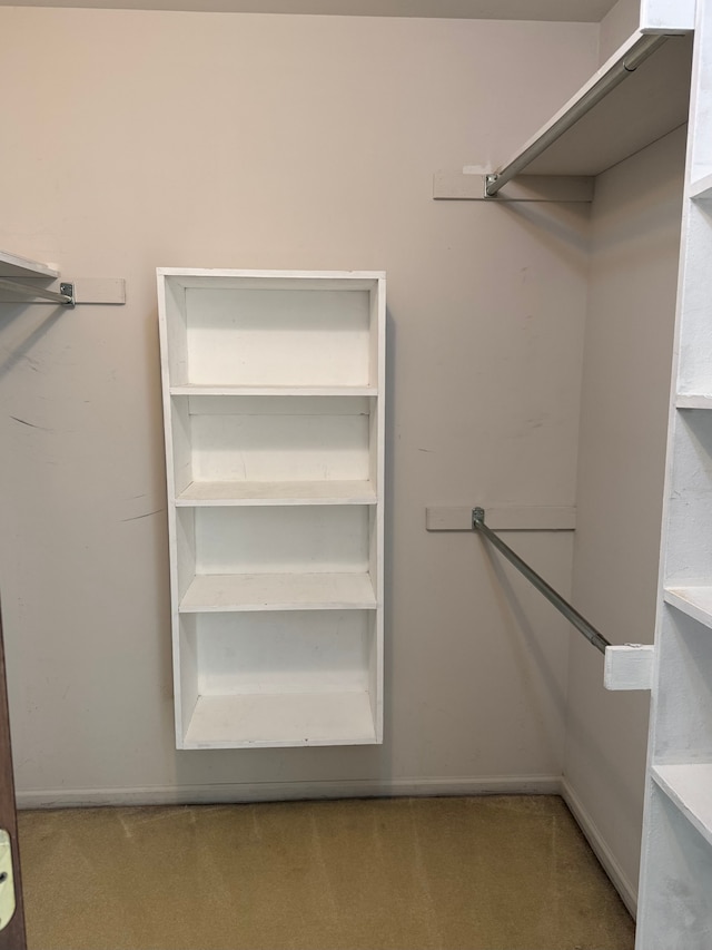 spacious closet featuring light colored carpet