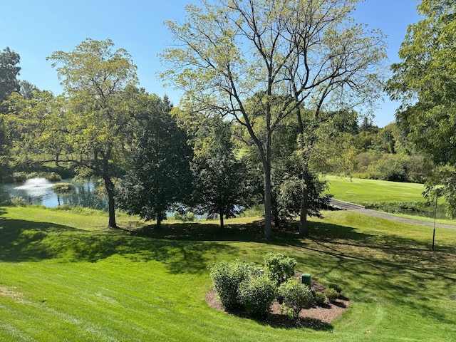 surrounding community with a water view and a lawn