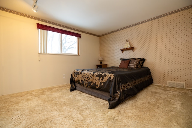 carpeted bedroom with track lighting