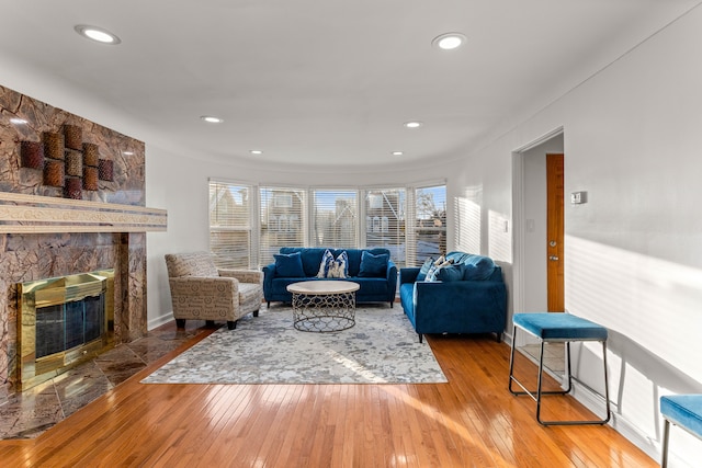 living room featuring a fireplace and wood-type flooring